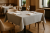 Obrus-bankietowy-professional-line-szary-jasny-plamoodporny-2.png