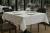 Obrus-bankietowy-professional-line-bialy-plamoodporny-2.png